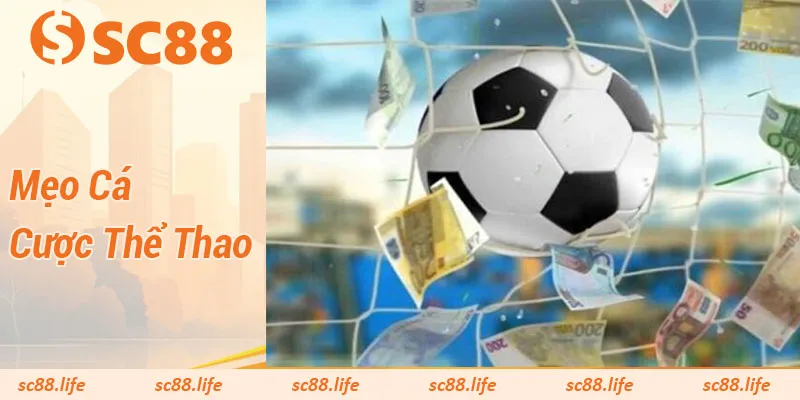 Mẹo cá cược thể thao